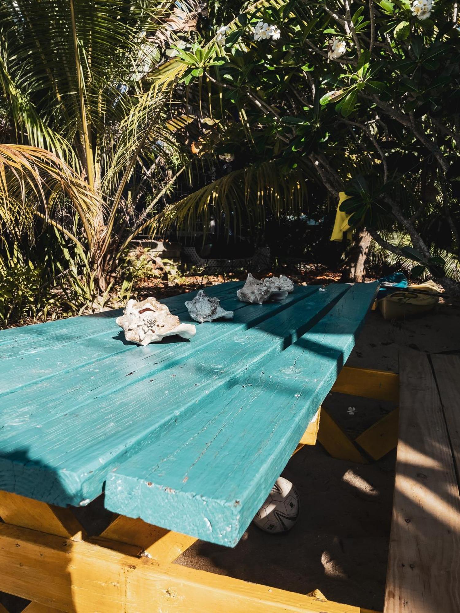 Anda Di Hows Hostel Placencia Exterior foto
